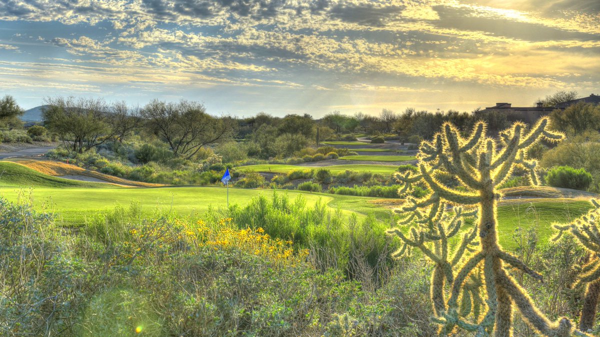 Hey there!  It's a great day to be alive.  The Arizona desert is looking amazing.  Looking to move?  I cover the whole valley.  #arizonarealtor #realestate #azgolf #golfphotographer