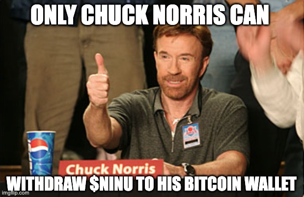 NinuOfficial's tweet photo. Don't worry if you are not Chuck Norris! Just visit https://t.co/ESU3v5Gd8v to find out how to get started with $NINU and how to create a passive income 💰🚀🌕 #memecoins #BSCGem #altcoins https://t.co/5OkftpnCRh