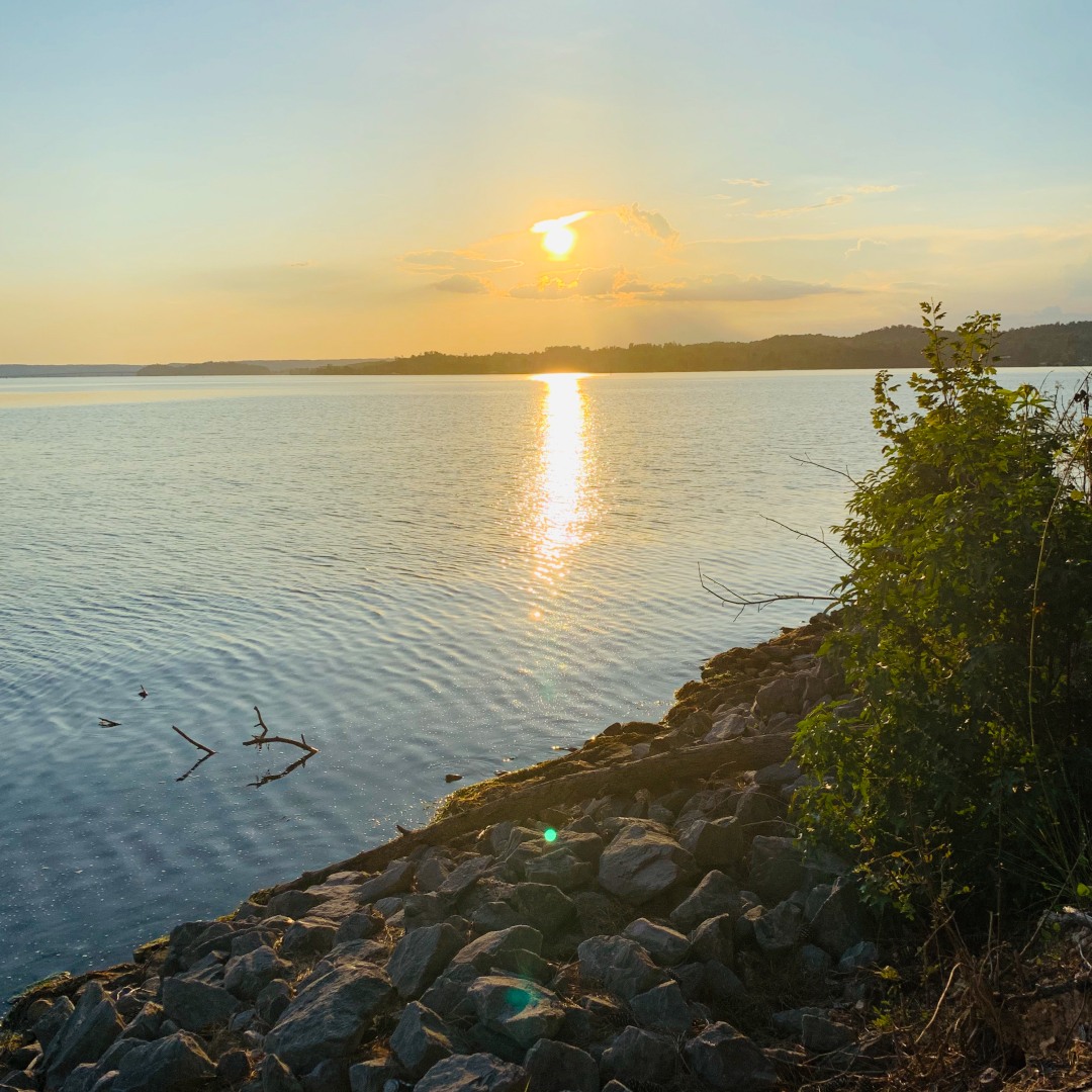 fish_alabama's tweet photo. Lake Guntersville has the views and and the fish! π π Plan your trip ASAP!
#fishalabama #alabamafishing #alabamabasstrail #abt #alabamafishing #fishing #fish #gofish #gofishing #fishinglife #lakelife #lakeguntersville https://t.co/7n2gFG3JLU