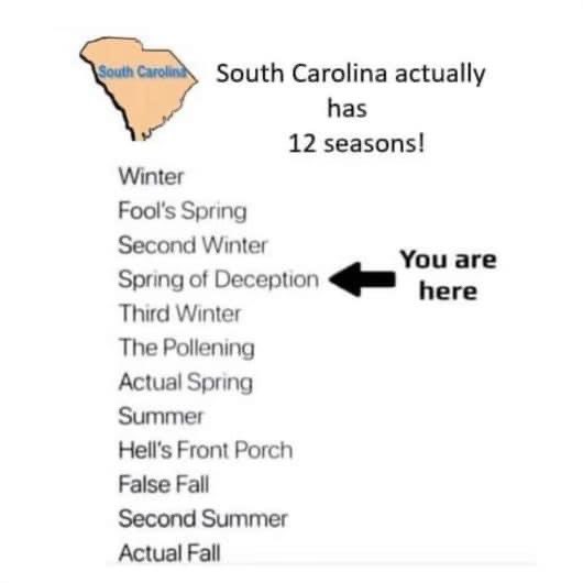 Amy Ryberg Doyle tweet media