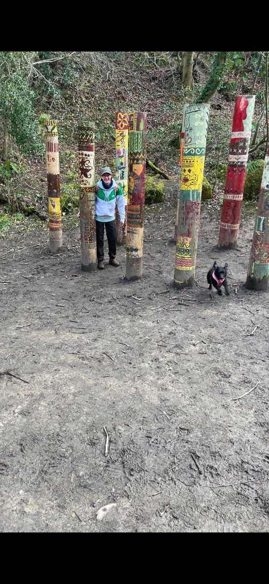 Jill McDade tweet media