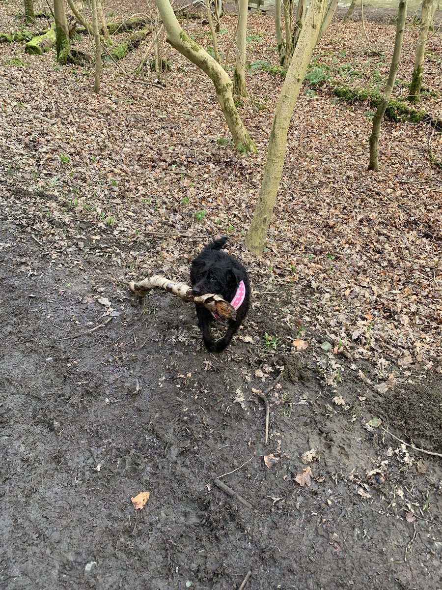 Jill McDade tweet media