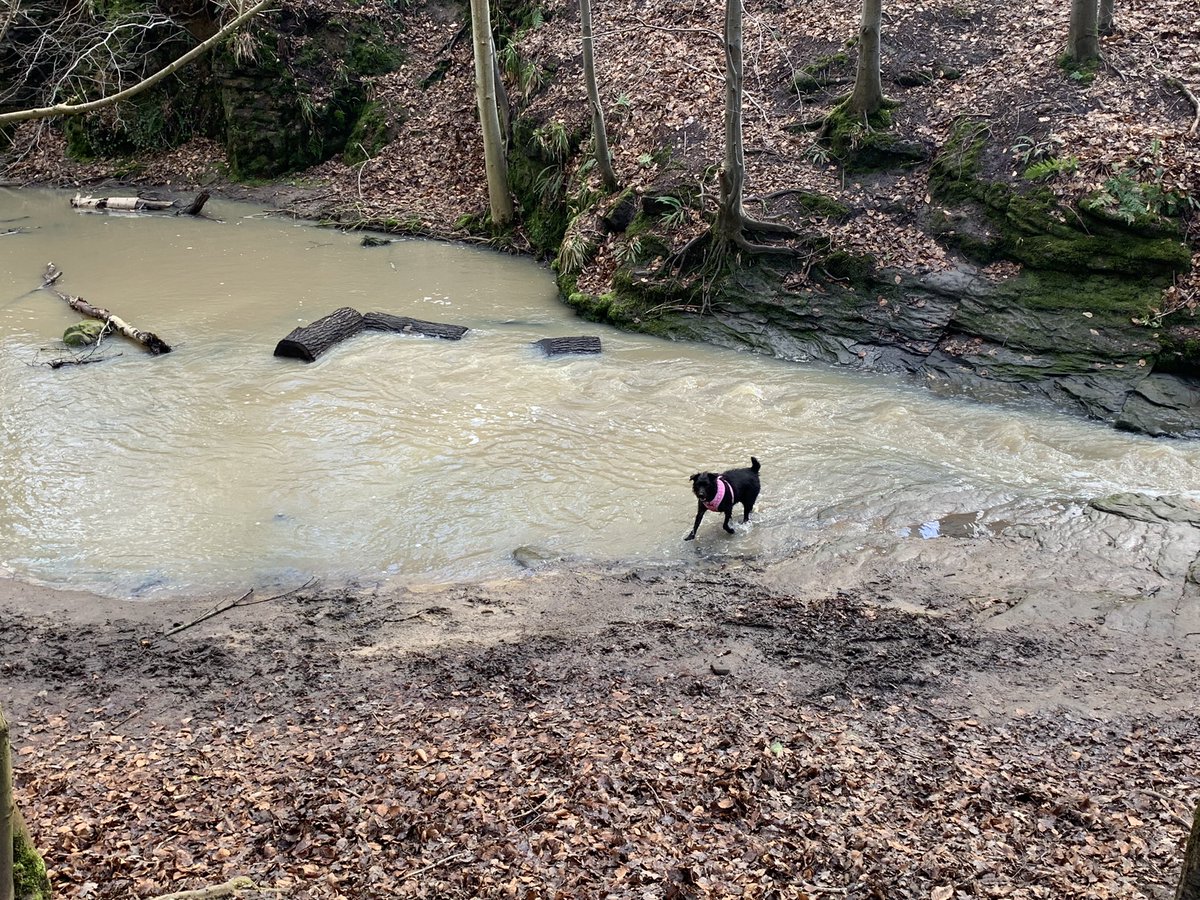 Jill McDade tweet media