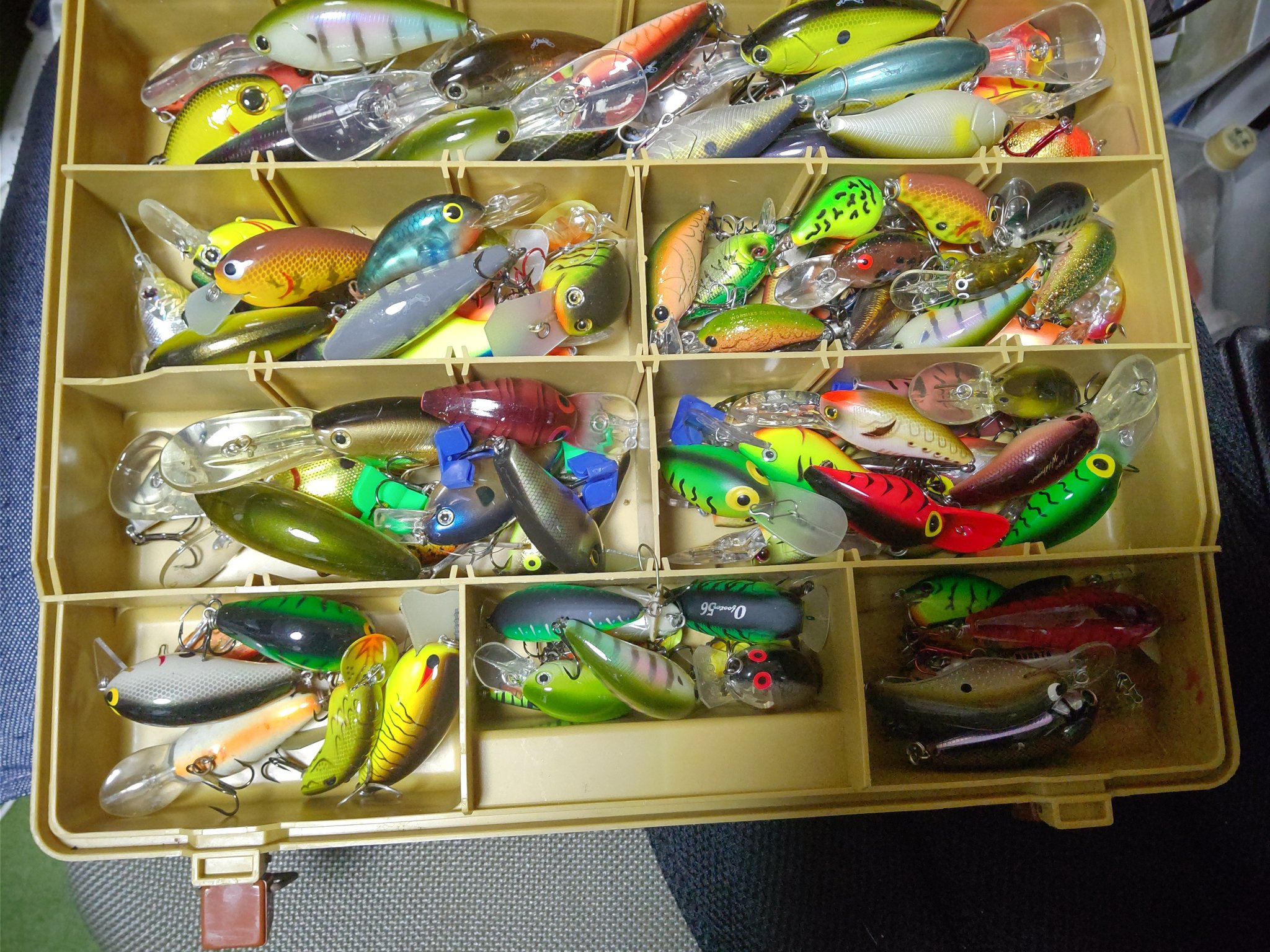 信之介 Anrisaviours Shin Bigbass Twitter