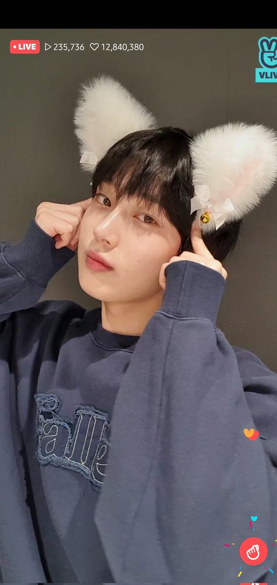 yeah_lovegg02's tweet photo. I usually pick dogs but this cat...😳
#SUNOOLIVE https://t.co/O1l2kH0nOg