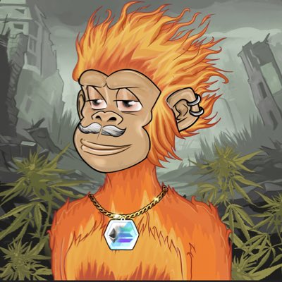 #NewProfilePic had to grab this <a href="/StonedApeCrew/">Stoned Ape Crew</a>. Couldn’t continue to watch them takeoff without joining. Love my rare Nuked Ape. #NFT #solana