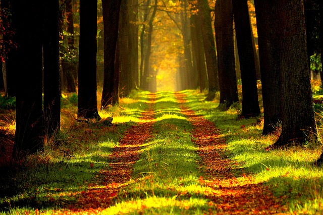 JonathanAlwars's tweet photo. A veces, a lo largo del camino, tendrás que elegir y prescindir de determinadas personas. Aunque la ruta se aventure solitaria, siempre es preferible afrontarla en equilibrio.
Jonathan Alwars
#motivacionpersonal #desarrollopersonal #frasesmotivadoras #equilibrioemocional https://t.co/PUswkGDPY2