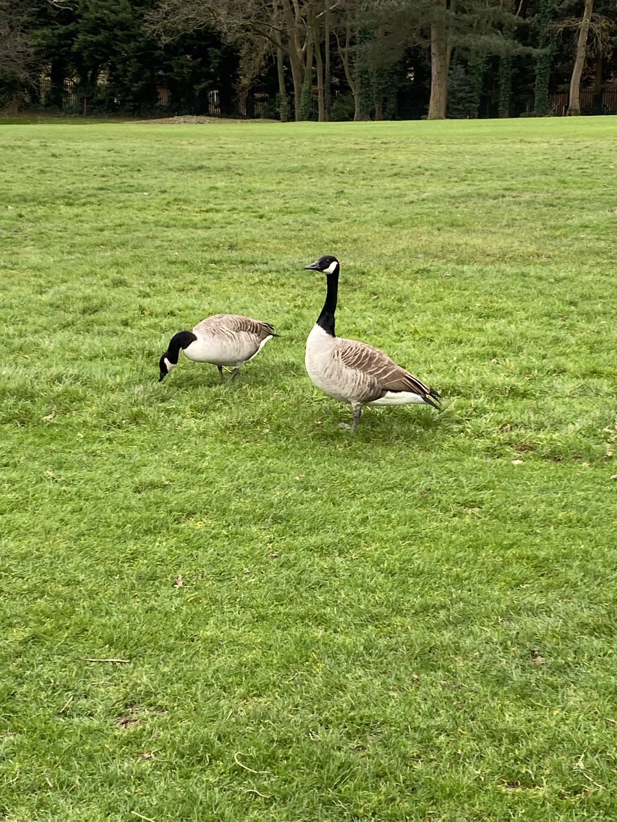 Twice in a matter of weeks, good catching up <a href="/EliottSmith37/">Eliott Smith</a>