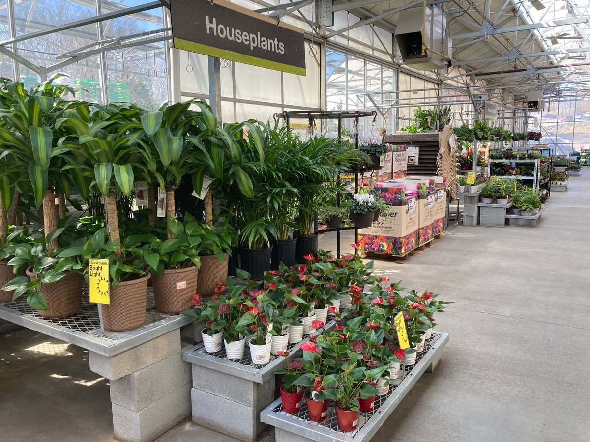 Linda Burkins tweet media