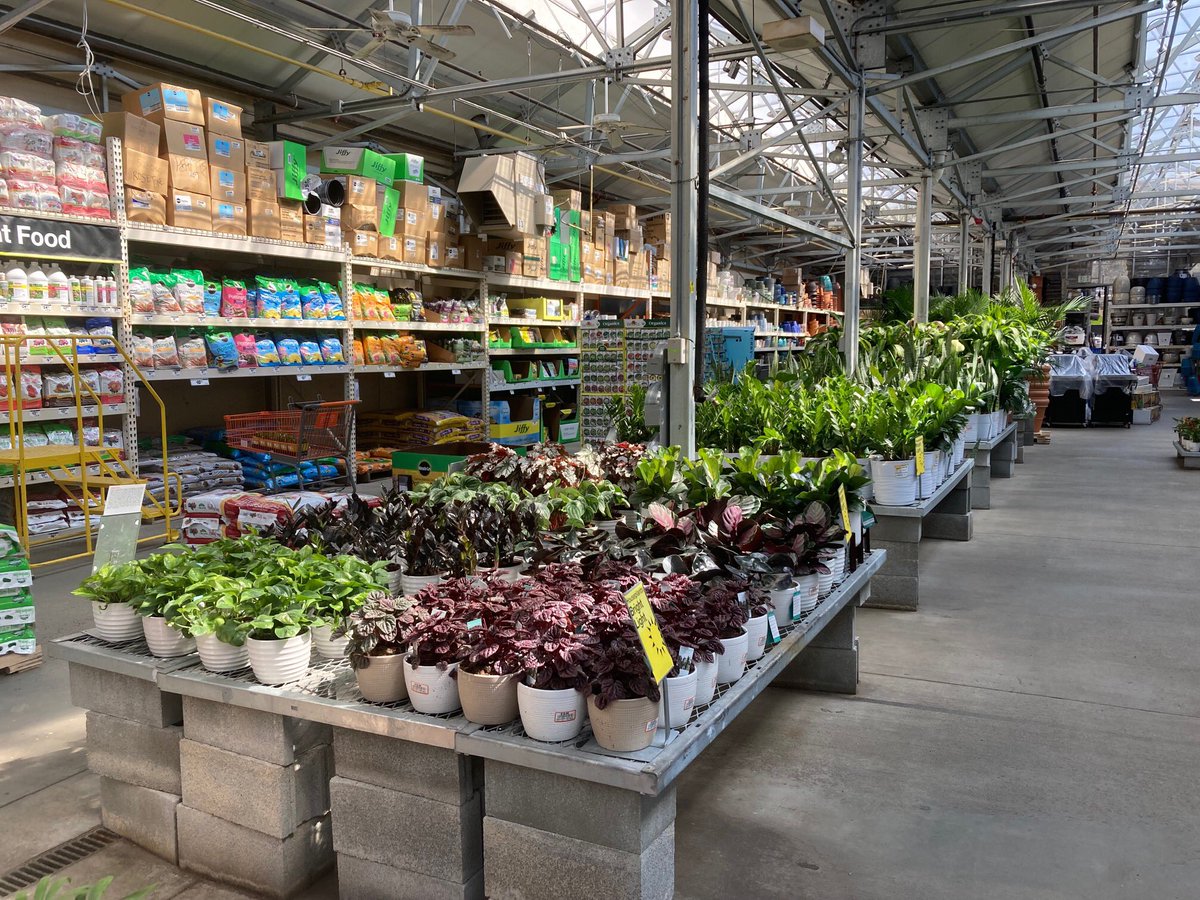 Linda Burkins (@ppslinda) on Twitter photo HD 3625 Asheville #costafarms #greenhouse #newshipment <a href="/BobbyBoaenTHD/">Bobby Boaen</a> <a href="/PPScatwilson/">Catherine</a> <a href="/pps_s_atlantic/">AC</a> @PPSinHD <a href="/Stephen_E_Camp/">Stephen Camp</a> <a href="/spoonholtz/">Teresa Spoonholtz</a> <a href="/Jleach777/">John Leach</a> HD 3625 Asheville #costafarms #greenhouse #newshipment <a href="/BobbyBoaenTHD/">Bobby Boaen</a> <a href="/PPScatwilson/">Catherine</a> <a href="/pps_s_atlantic/">AC</a> @PPSinHD <a href="/Stephen_E_Camp/">Stephen Camp</a> <a href="/spoonholtz/">Teresa Spoonholtz</a> <a href="/Jleach777/">John Leach</a>