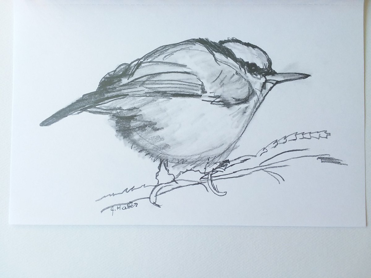 penandinker's tweet photo. Excited to share the latest addition to my #etsy shop: Bird Wall Decor, Pencil Drawing of a Red Breasted Nuthatch, Pencil Sketch, 5x8, Original Artwork https://t.co/LwSizBnJ4P #gray #white #unframed #animal #horizontal #birdwalldecor #pencildrawing #drawingofbird #penc https://t.co/TP6zGCFgOW