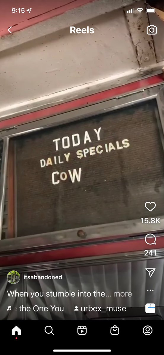 i am certainly special - daily…