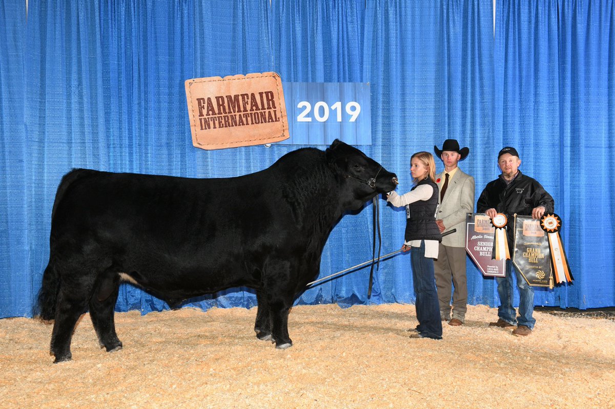 JT 22J sells today, 3/4 Simmental, Premonition son, a definite heifer bull, 68 lb BW, top 2% calving ease, top1% BW. Call or text 403-741-5629