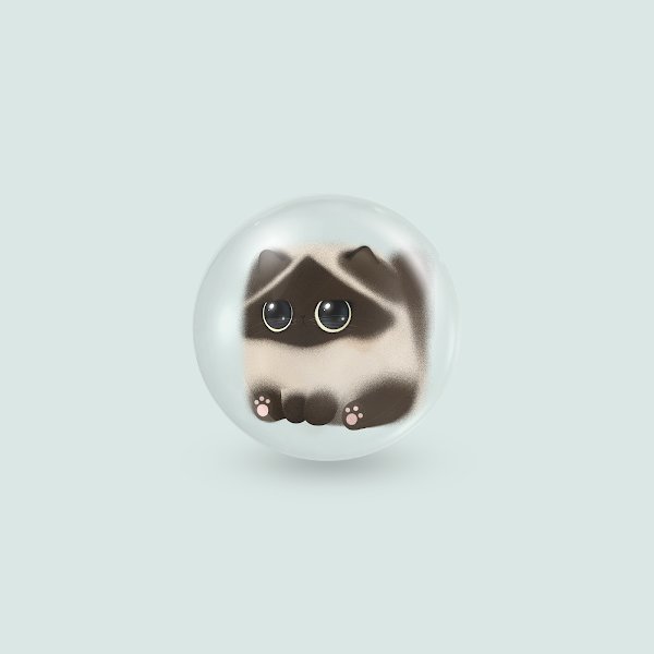 wennyxz's tweet photo. My bubble cats by @cutepunch_ 🥰 https://t.co/njzHJkjPOu