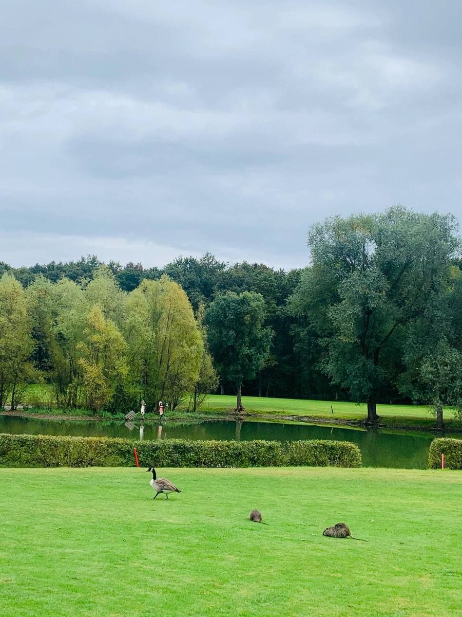 Augustllo's tweet image. A pristine country club that adds a better dimension to playing golf