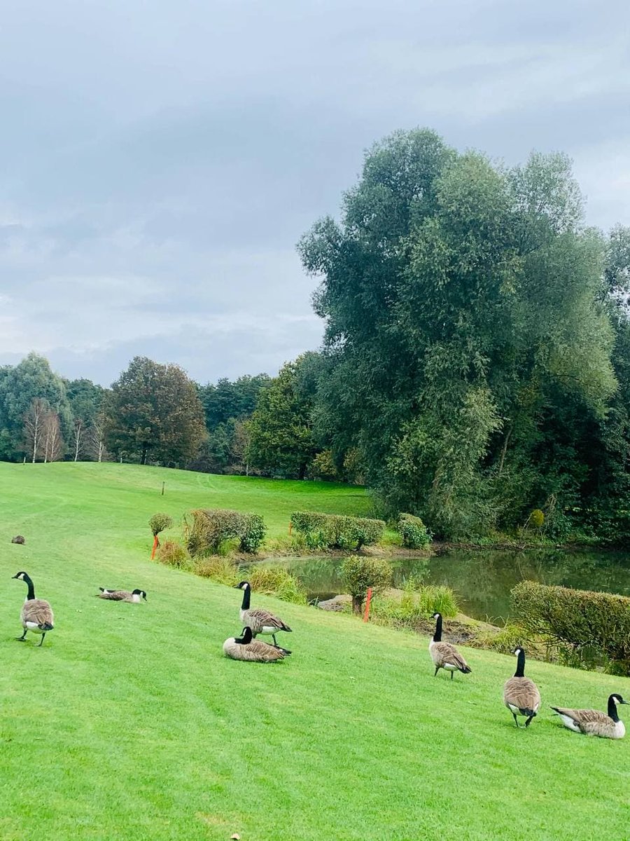 Augustllo's tweet image. A pristine country club that adds a better dimension to playing golf