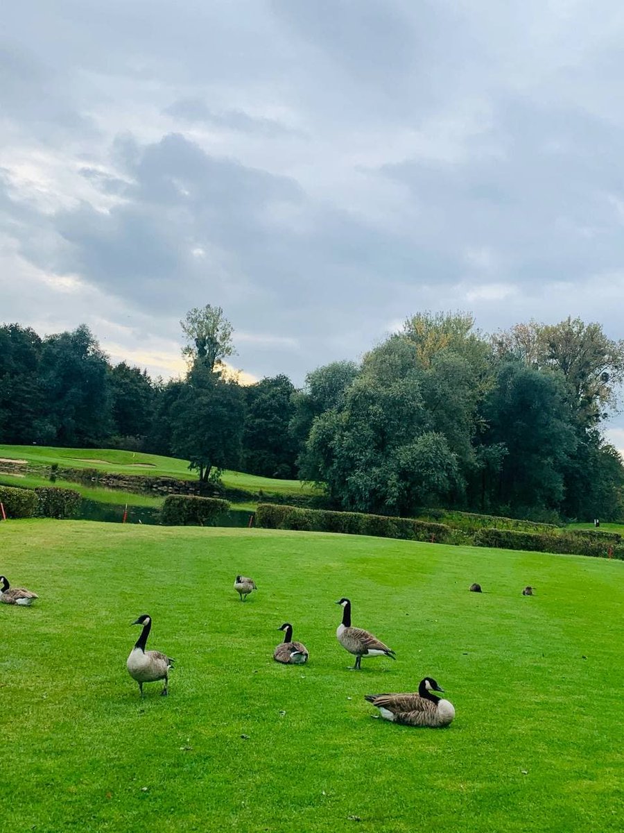 Augustllo's tweet image. A pristine country club that adds a better dimension to playing golf