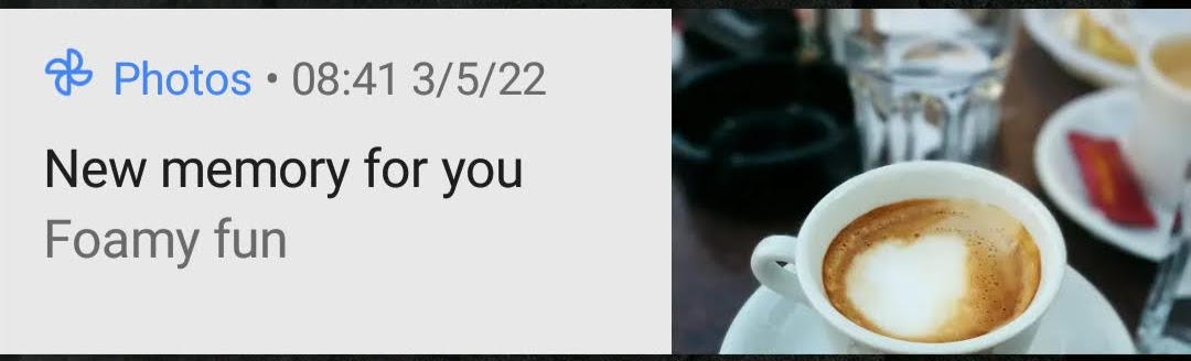 Dobrica Pavlinušić tweet media