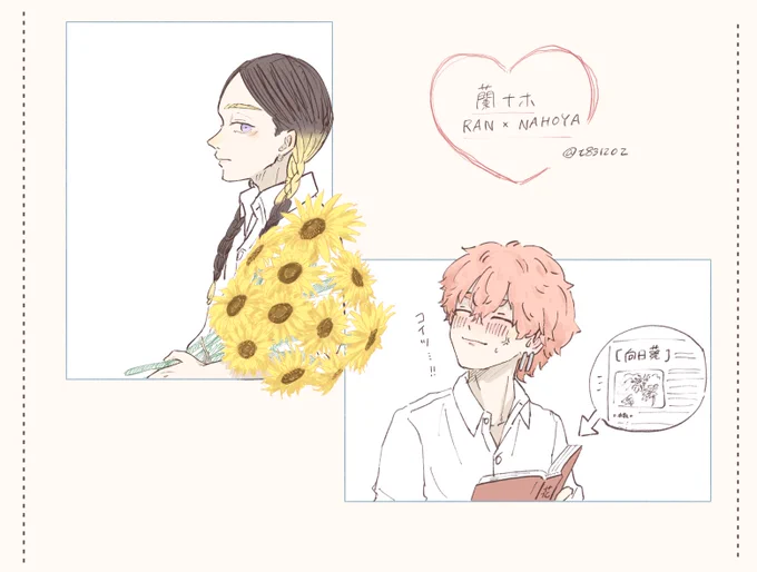 蘭ナホで11本の向日葵🌻 
