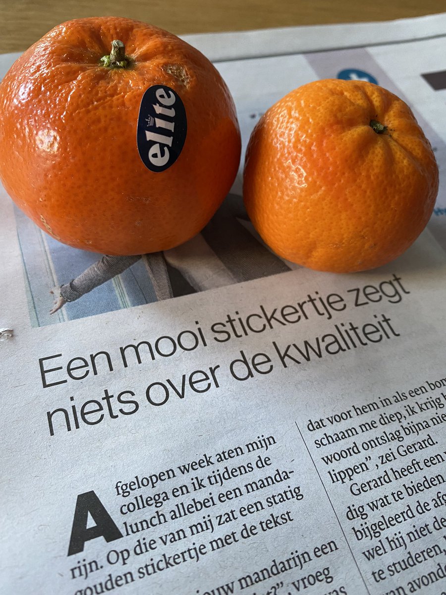 Anne-Marije Buckens tweet media