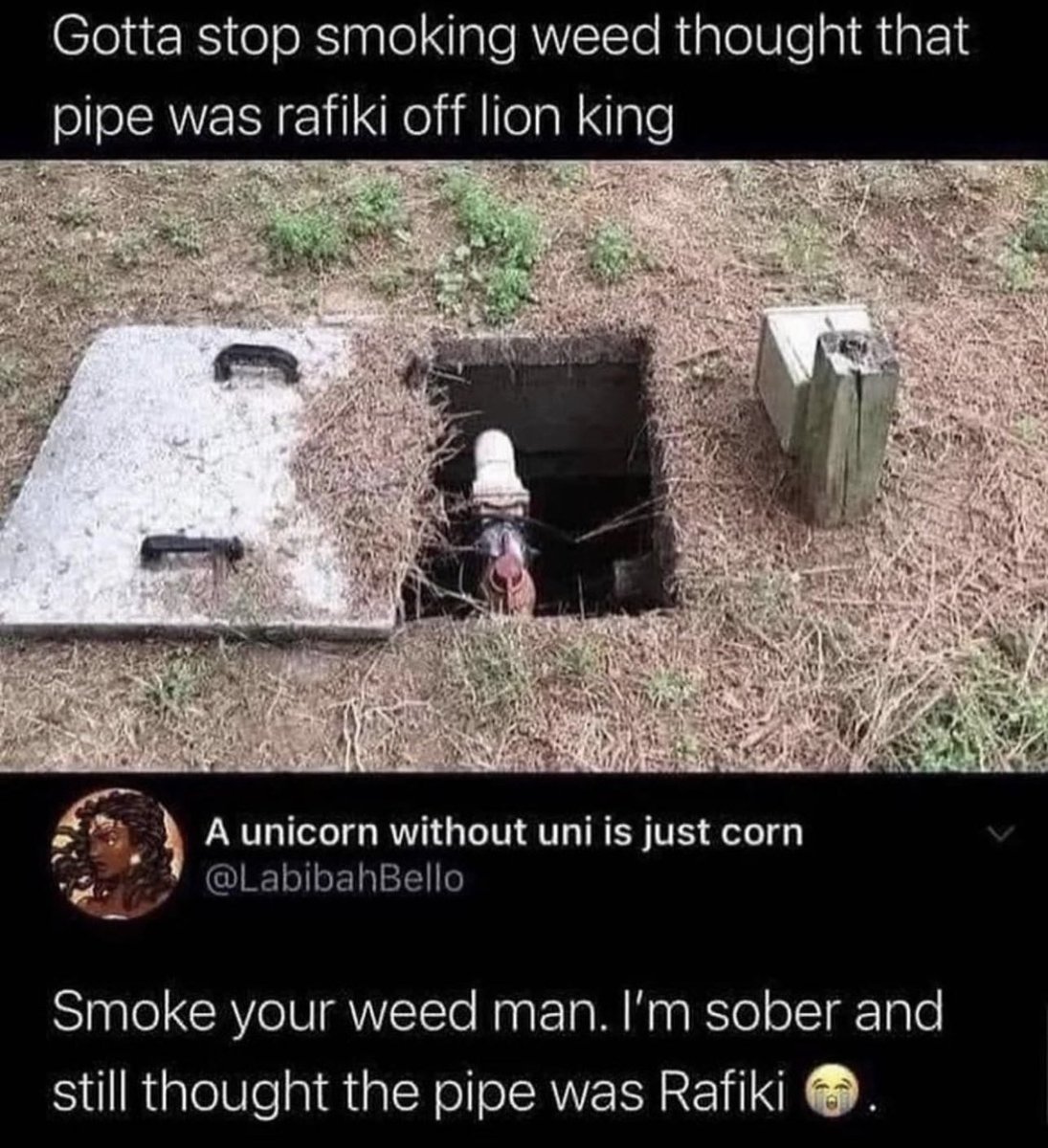 tommychong tweet picture