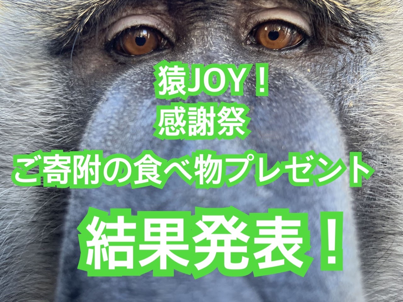 Vq2svkyo1qvdnm