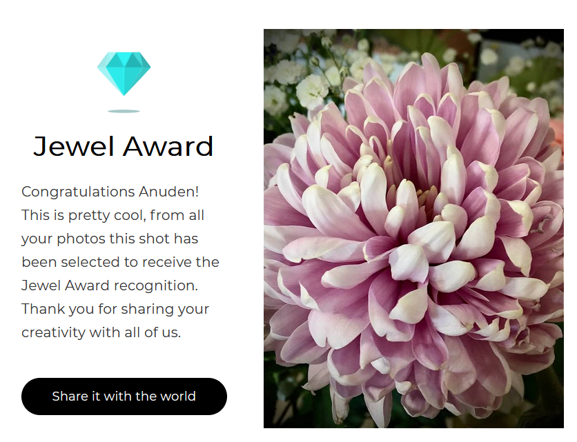 hellkracken's tweet photo. Received the Jewel Award on Viewbug #nft, #Skurpy #garryv #vfriends #nftphotography #NFTCommunity #nftcollectors https://t.co/F6R5mZmspZ