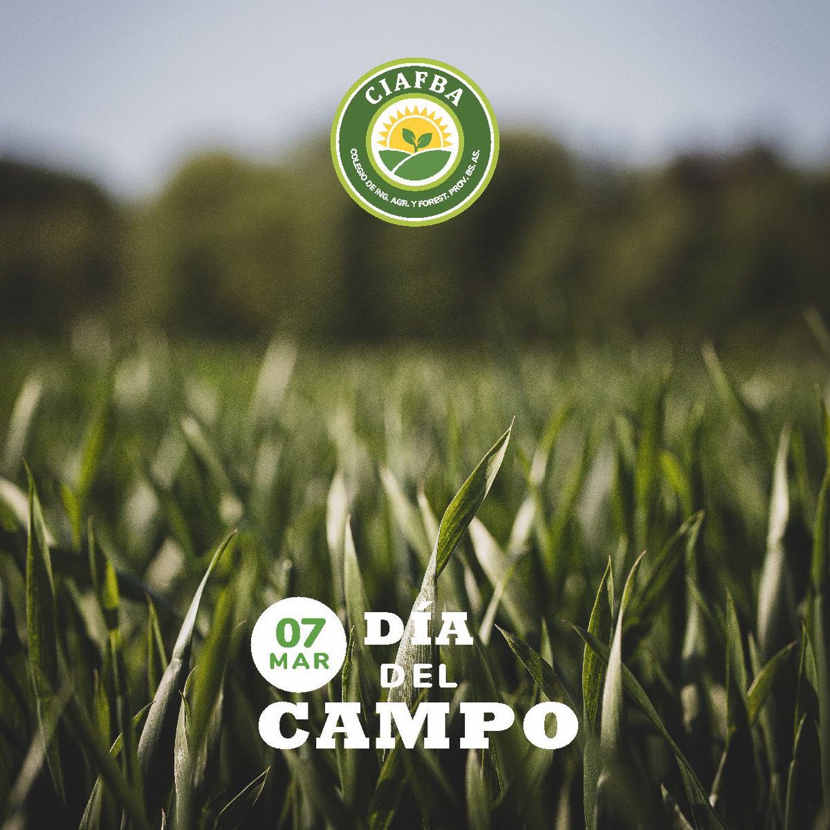 CiafbaOficial's tweet photo. 🐄🚜 07 DE MARZO 🌻🌾
DIA DEL CAMPO

#SomosColegio 
#DiaDelCampo 
#ProvinciaBA https://t.co/HH8KI7ppUj