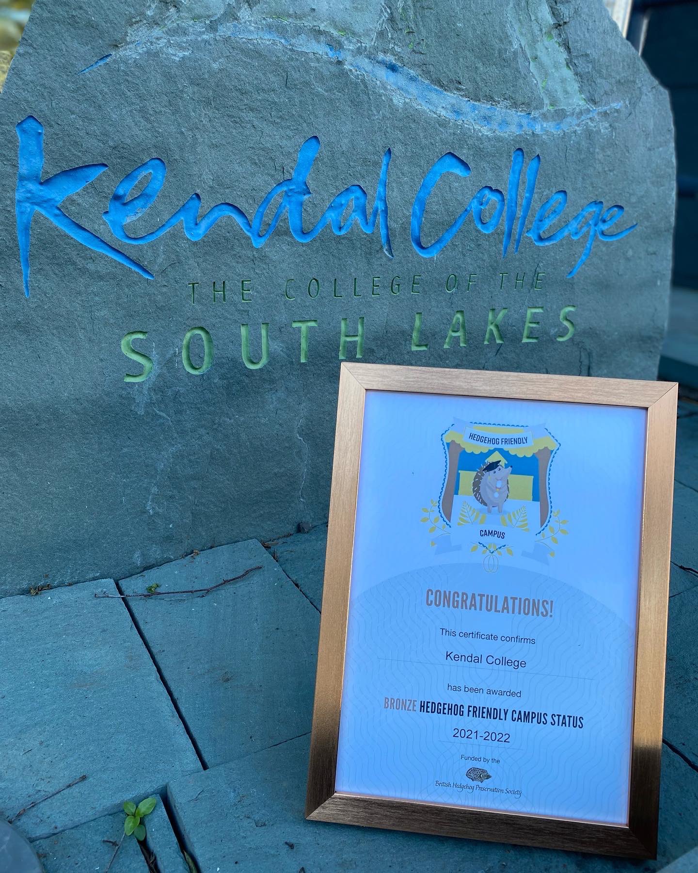 Animal Rescue Centre Kendal College on Twitter "🏅🤩 Look what we