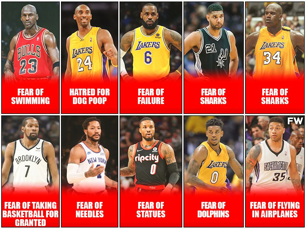 アル Nba 名選手の嫌いなもの10選 マイケルジョーダン 水泳 コービーブライアント 犬のうんち レブロンジェームス 失敗 ティムダンカン サメ シャキールオニール サメ ケビンデュラント バスケをすることが当たり前だと思うこと デリックローズ 針