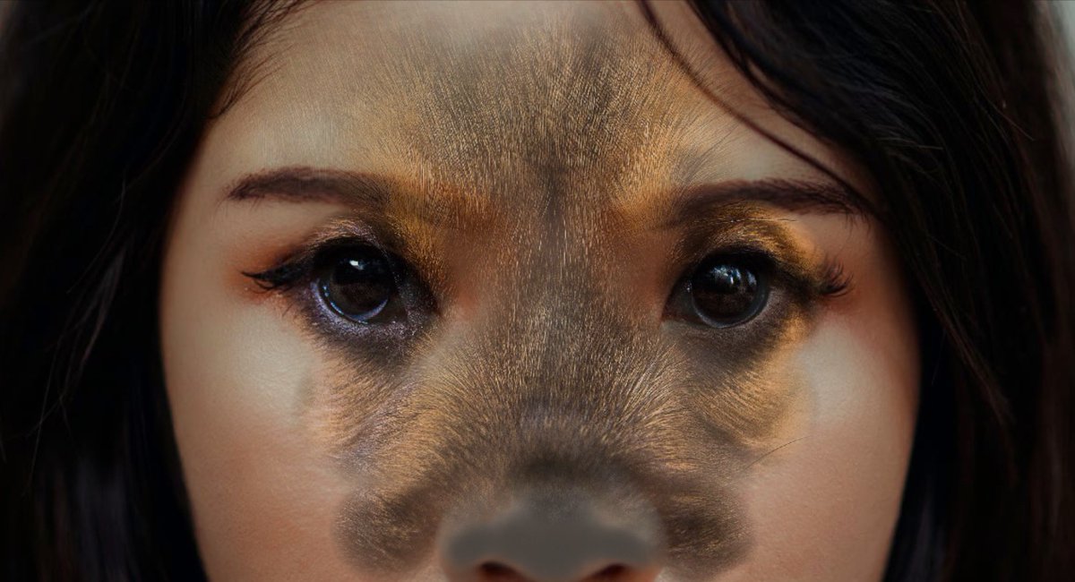 jokerfan79's tweet photo. Pup morph.
#DogTFFan #dogmorph #photomanip #photomanipulation #dogtf #caninetf #humantodog https://t.co/zB3O3VuSpC
