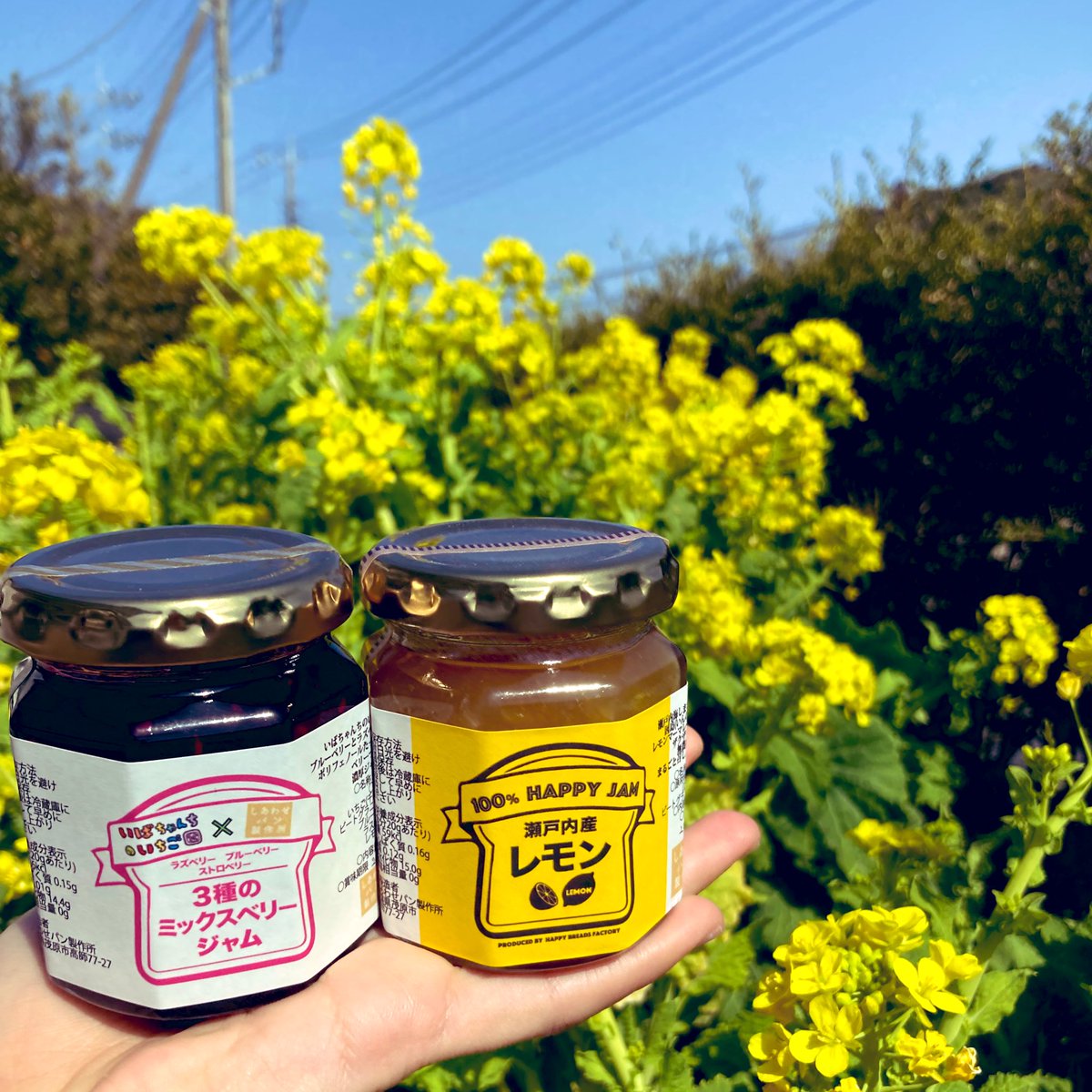 nishidalol's tweet photo. ADDress会員さんが植えてくれた菜の花のおかげでお庭が春めいてる💐

茂原で大人気のベーグル屋さん”しあわせパン製作所”の自家製ジャムも春の味🍓🍋
#ADDressLife #ADDress茂原 https://t.co/vFMiBFqys1