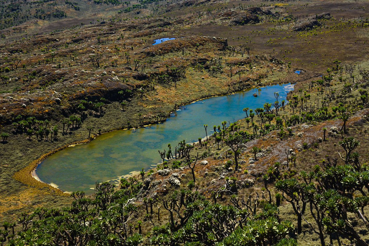 MassifMontane's tweet photo. Elgon is scenic, a Hiker’s paradise offering thrilling full time wonders. 
#hiking #adventure #Uganda #ngeo #hiking #trailrun https://t.co/lWpoKPZ86z