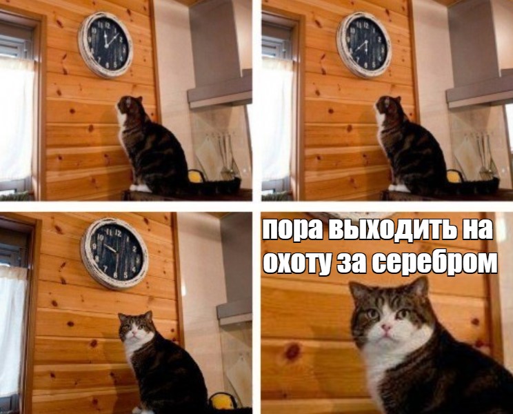 sompitonov's tweet photo. #ARCONA #Metaverse #AugmentedReality #PlayToEarn #NFTs #NFTCommunity #Crypto #CryptoNews #AR #cryptotrading #NFTcollections🐈 https://t.co/oVoGzhVETF