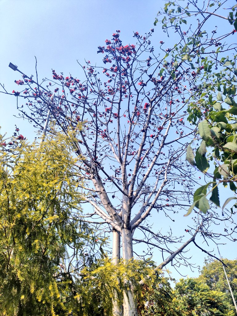 vidushiitanejaa's tweet photo. Peace 🕊 https://t.co/B8QB2jX480