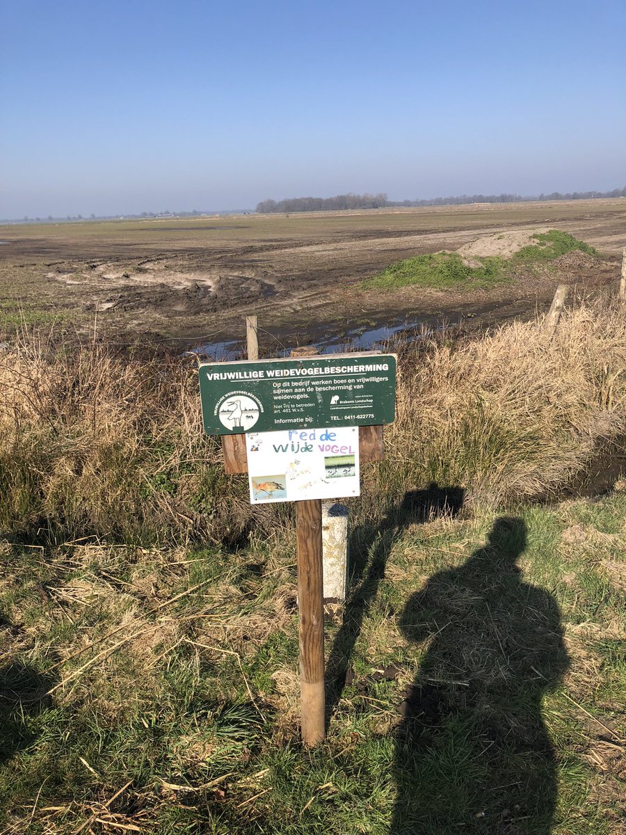 Het broedseizoen van de weidevogels komt er weer aan. Vanochtend met werkgroep en Jeugdnatuurwacht borden geplaatst in De Gement. Stoor de weidevogels niet en houd honden aan de lijn. #Vught