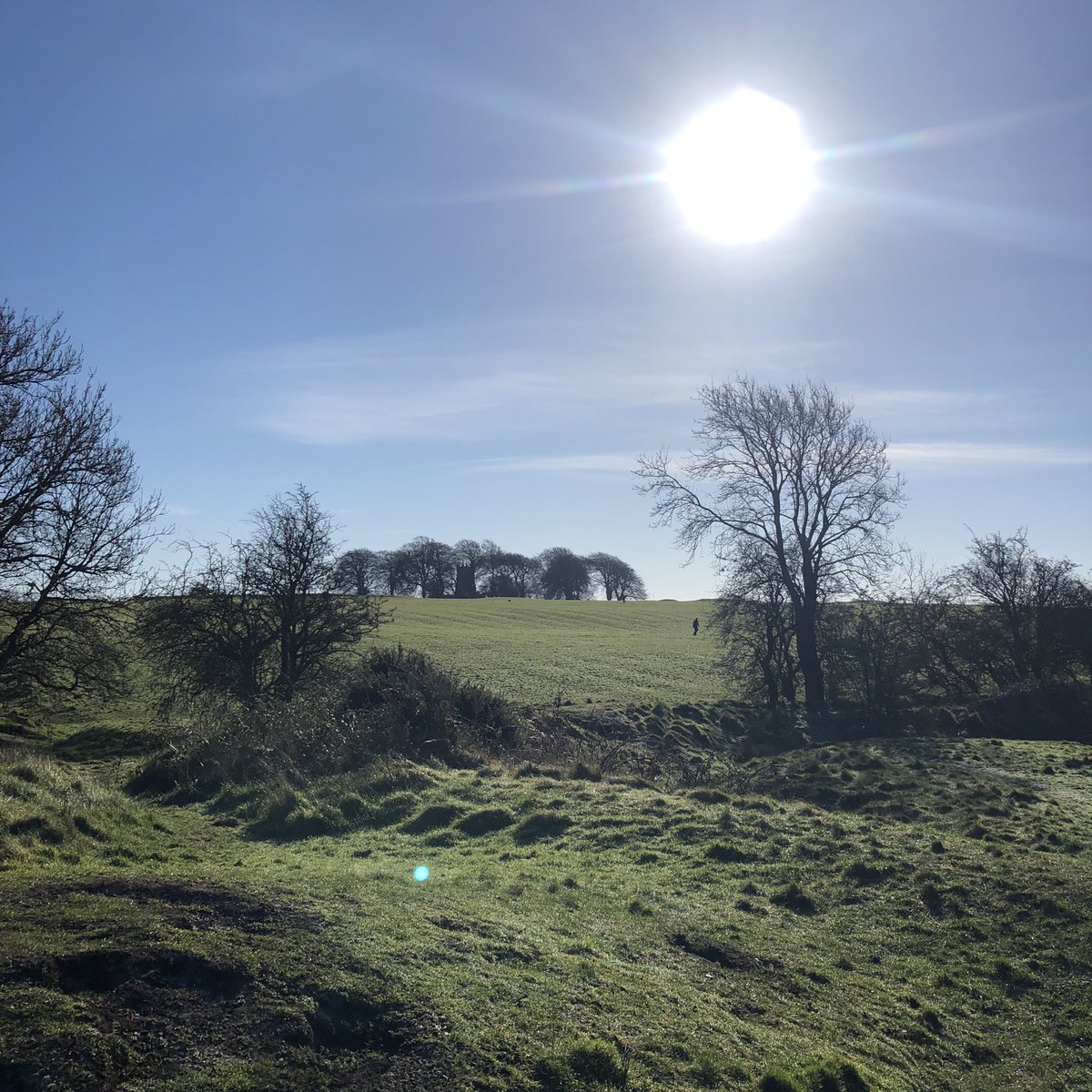 MeathLEO's tweet photo. Getting the steps in for #marchathon with @meathcoco @TFISmartTravel  Team LEOLeggers Re-united on the beautiful @opwireland Hill of Tara in @DiscoverBoyneV @Failte_Ireland #VisitMeath https://t.co/YyDi02K8ao