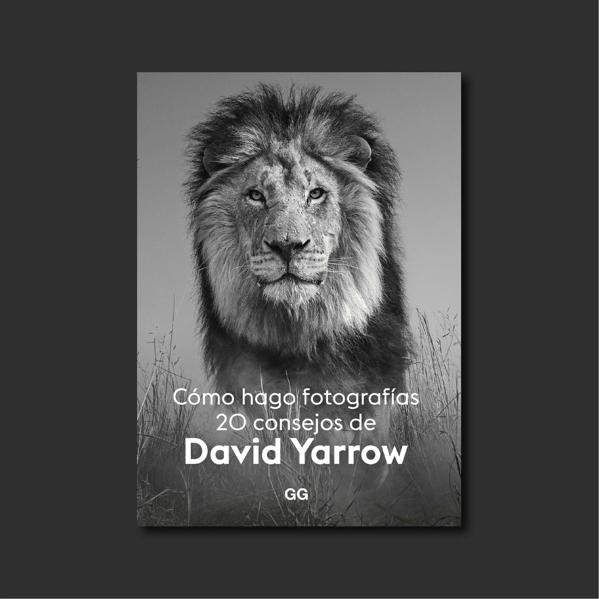 'Todo artista debe aceptar que siempre queda mucho para aprender y, en este sentido, me gustaría compartir mi experiencia desde la humildad'. Cómo hago fotografía, 20 consejos de David Yarrow (@David_Yarrow).