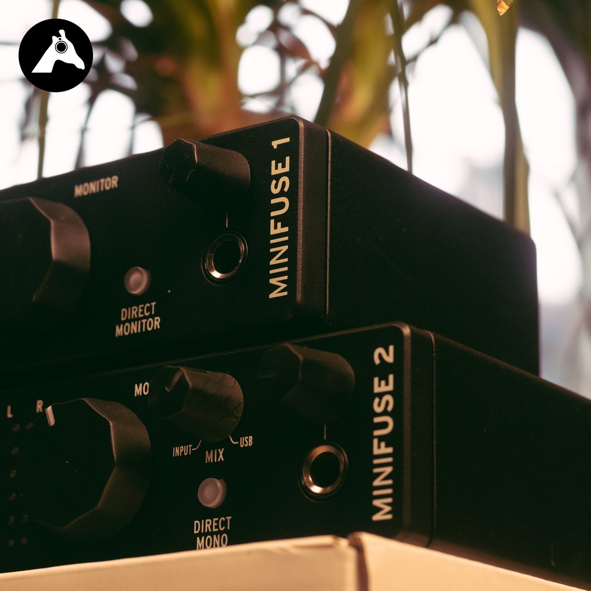 GiraffeAudio's tweet photo. Had a look at the @ArturiaOfficial #MiniFuse interfaces
Very useful for students looking for an #affordable, #portable interface to record on the go plus they come with some great #software included.
.
.
.
.
#giraffeaudio #music #musicproduction @SourceDist https://t.co/rR0X5yozRy