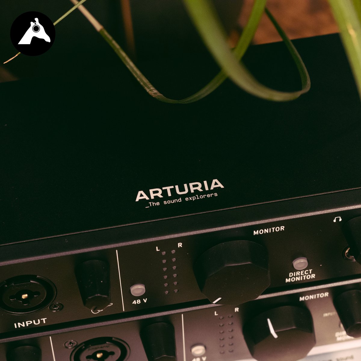 GiraffeAudio's tweet photo. Had a look at the @ArturiaOfficial #MiniFuse interfaces
Very useful for students looking for an #affordable, #portable interface to record on the go plus they come with some great #software included.
.
.
.
.
#giraffeaudio #music #musicproduction @SourceDist https://t.co/rR0X5yozRy