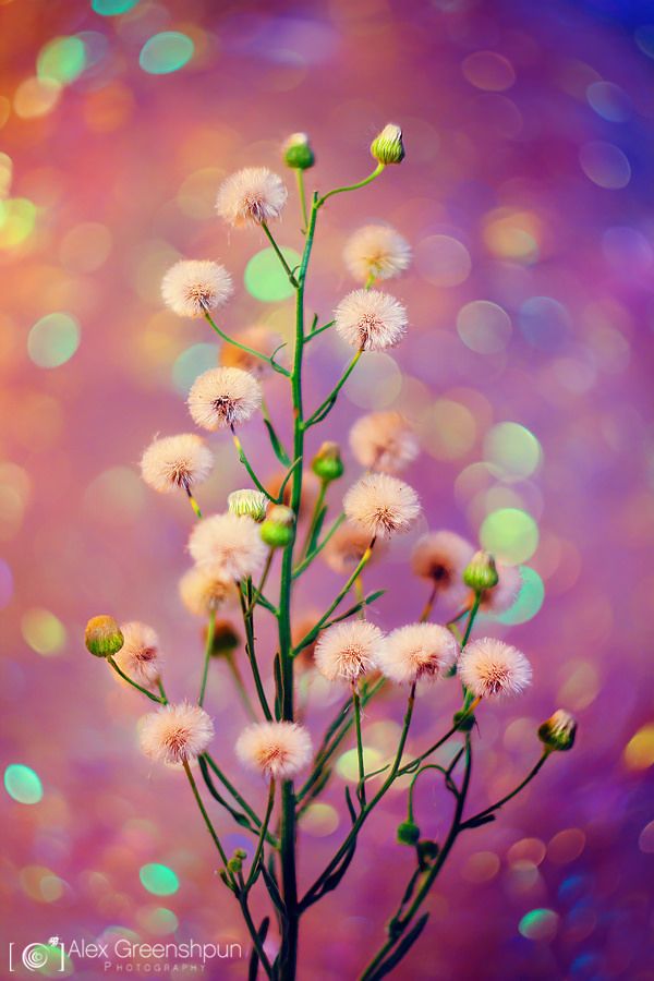 Happy weekend my dear friends.

         🧡#NatureBeauty 🧡
