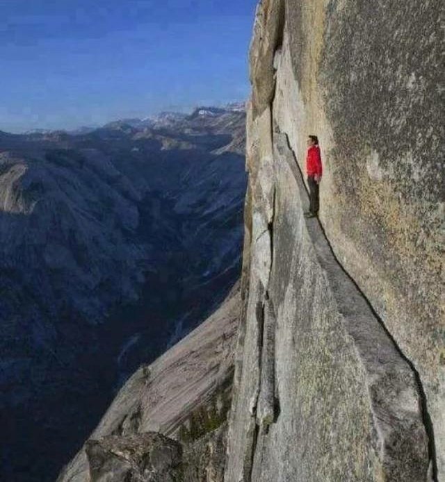 LINTERNA VERDE tweet media