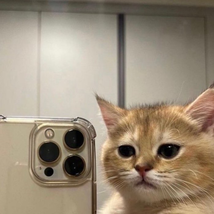 taeteland's tweet image. 