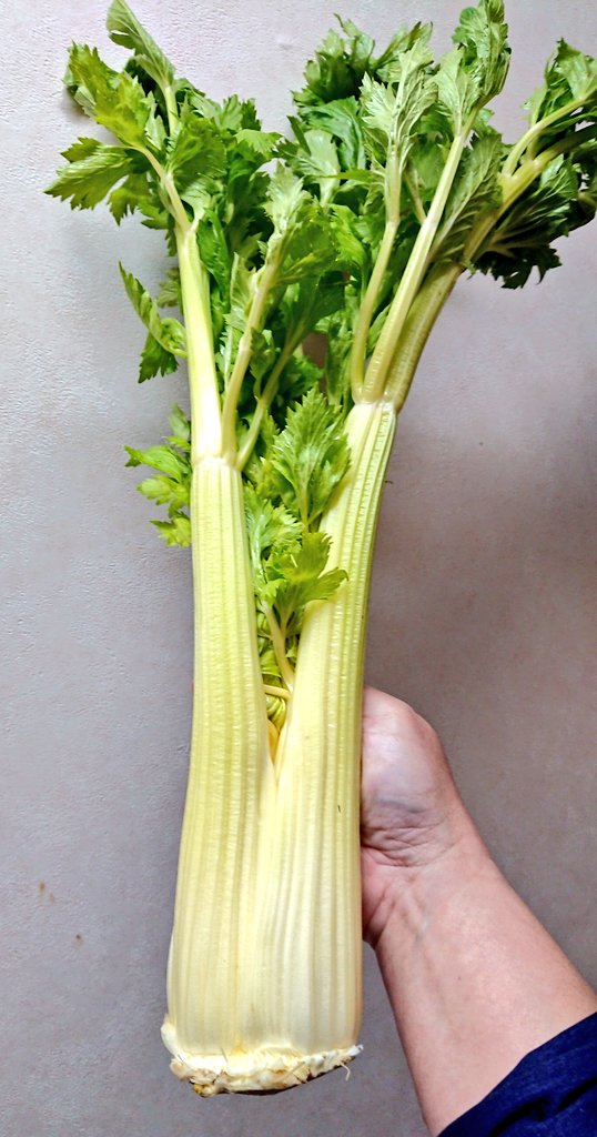 greenandflower's tweet photo. さぁ~て
来週のキャンプ飯わぁ?
そう簡単に #CHARQUE (シャルケ)が半額にはなってないわな…
浜松はブラジル人多いからブラジル食材も沢山ある🍖
たまたま半額になってたものを買って煮込みにしたらメッチャ旨かったから同じメニューで考えてたけど…
チキンで代用するか🐔 https://t.co/jimJ0niMjR