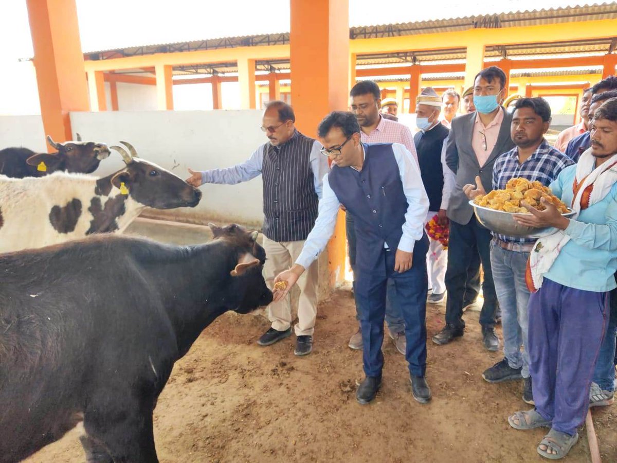 DM_Etah's tweet photo. आज वृहद गौसंरक्षण केन्द्र जलेसर के औचक निरीक्षण का औचक निरीक्षण कर सभी गौवंशों की शतप्रतिशत टैगिंग करने के निर्देश दिए।  @CMOfficeUP @ChiefSecyUP @UPGovt https://t.co/Akx8RKtP1H