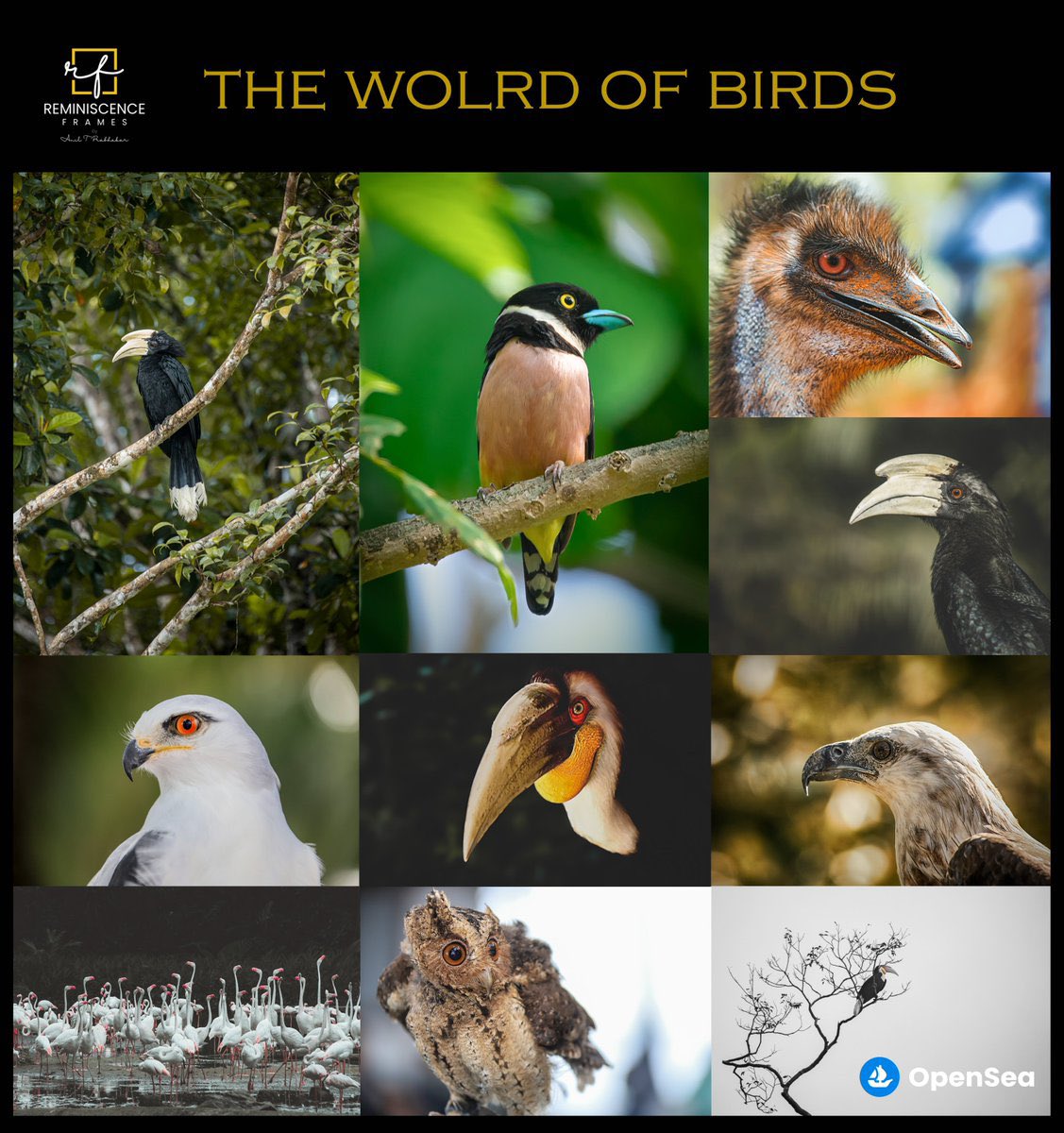 Aniltprabhakar's tweet photo. A Conservation Photographer from India, currently based out of Indonesia. I enjoys experimenting with different genres of Photography and Traditional Art.
I brought few of my artworks into NFTWorld. 
Plz check below thread to available NFTs 🧵

#nftphotography https://t.co/FTYcxKOfqI