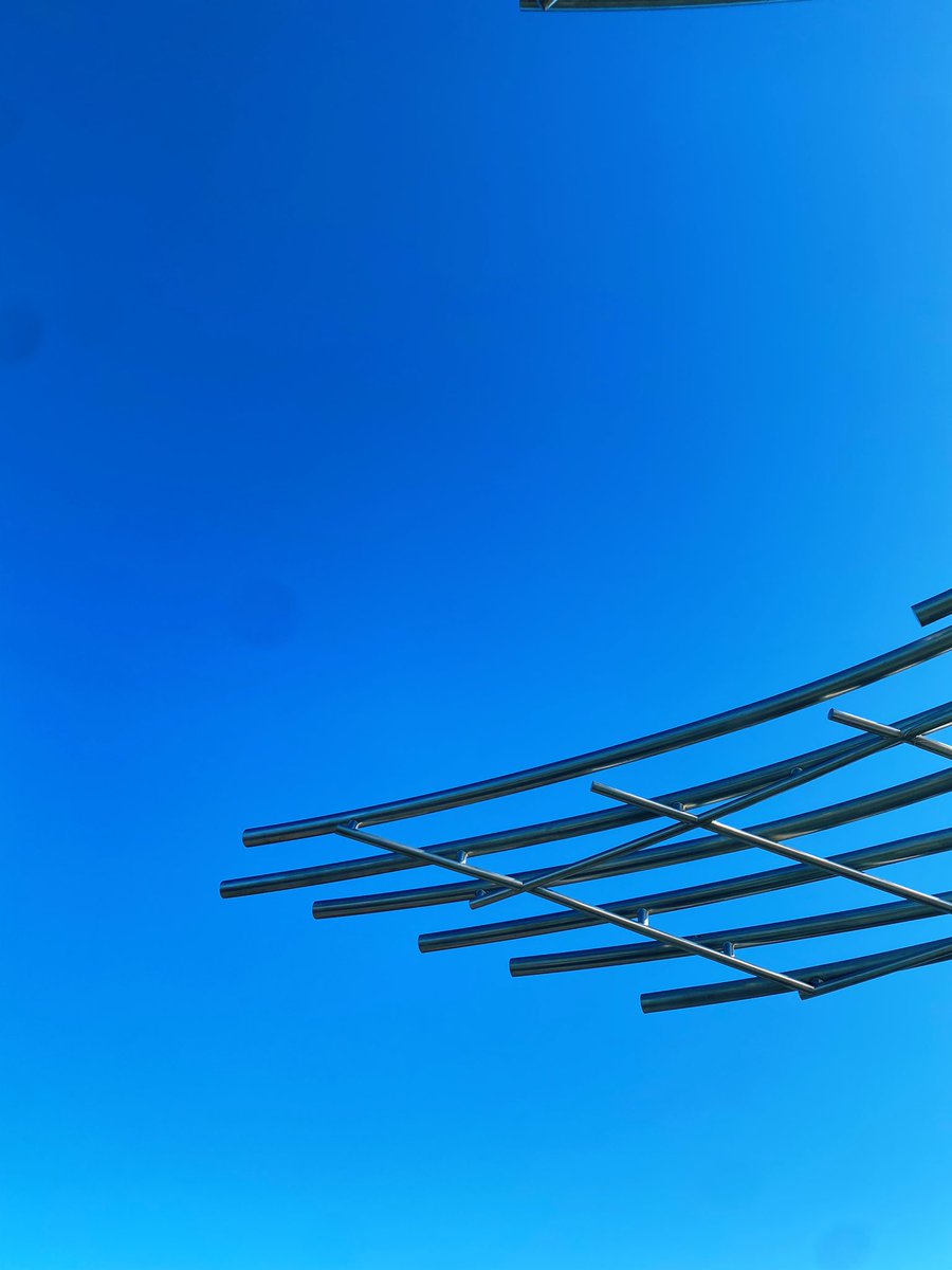 jack 🦦 tweet media