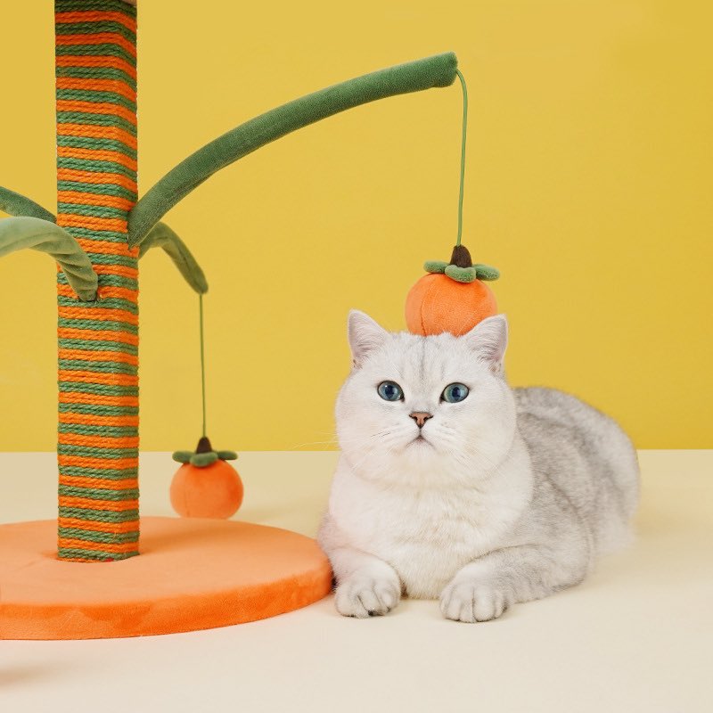 jeffbcattery's tweet photo. 〰️ Preorder 〰️
🍊 เสาลับเล็บ พร้อมลูกส้ม 🍊
✖️Price : 599฿✖️
➖ ขนาด 35*35*44 cm
📌 จ่ายตอนของมา แต่ห้ามเทน้า
📍ปิดรับ 9/3
(รอของ 25-30วัน)#jeffbcatpre
☁️ mention/ dm จองได้เลยค่า ☁️ https://t.co/1yEG2M24ne