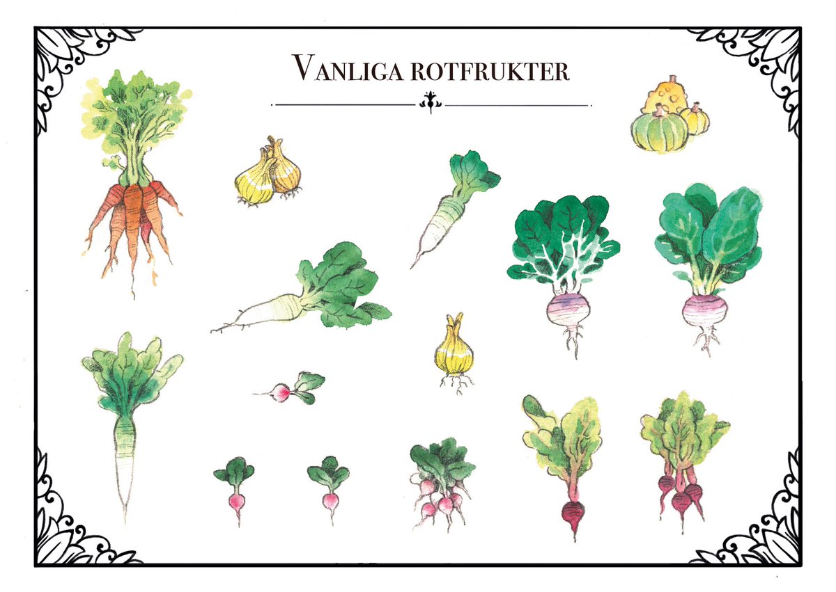 i also followed my heart and made the stickers *I* want to see in the world! Common root vegetables and... LESS common root vegetables 