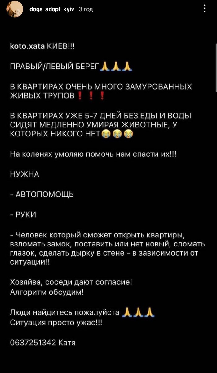 ilovedark22's tweet photo. ‼️ потрібна допомога ‼️ https://t.co/TDnSqm3eak
